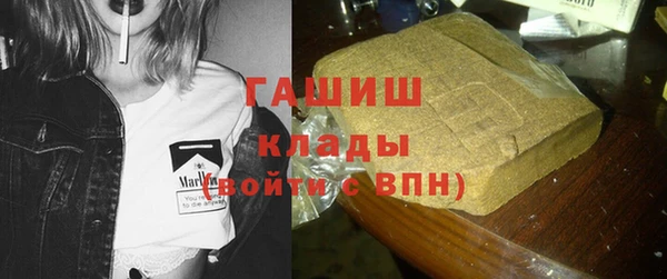 индика Козловка