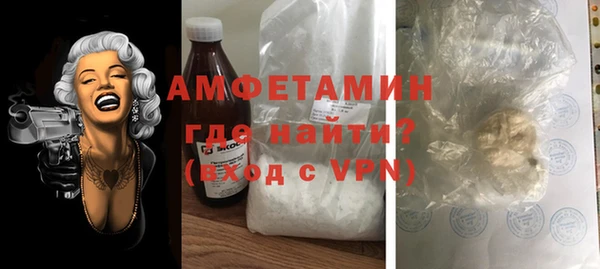 индика Козловка