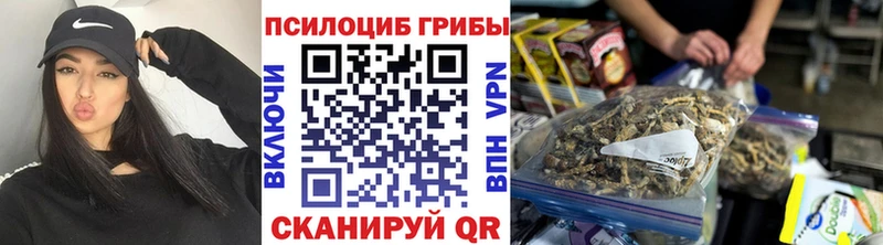 маркетплейс как зайти  Котельники  Галлюциногенные грибы мухоморы 